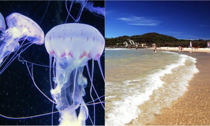Man Describes Jellyfish Sting to Be Like ‘Fire’