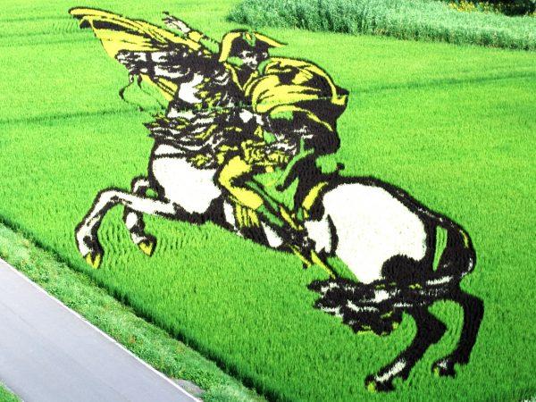 <strong>©</strong>Wikimedia | <a href="https://commons.wikimedia.org/wiki/File:Napoleon_of_rice_field_art.JPG">Captain76</a>