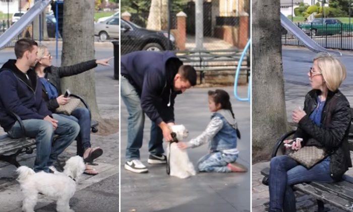 How Easy Is It to Lure Kids Away? These Strangers Only Needed One Cute Puppy