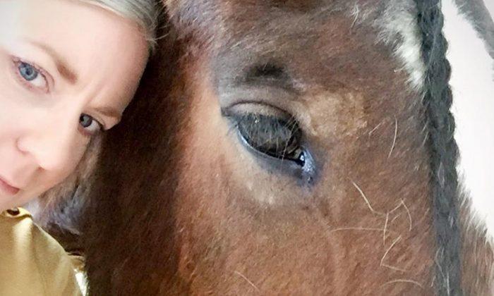 With One Look, Rescued Horse Stops Woman From Committing Suicide