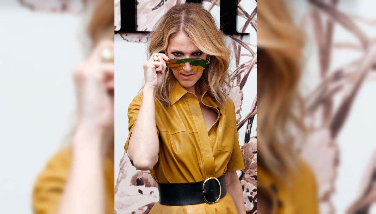 Celine Dion and Others Pull Songs Featuring R. Kelly After Docuseries