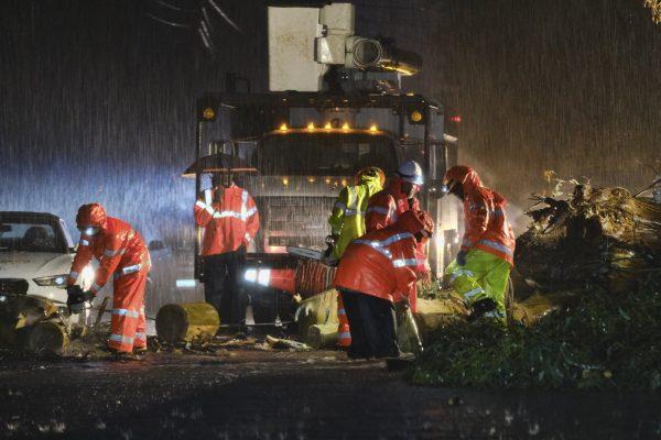 Department of Water and Power employees work in the pouring rain to clear a fallen tree from a road in the Hollywood hills in Los Angeles, Calif., in this file photo. (Richard Vogel/AP)