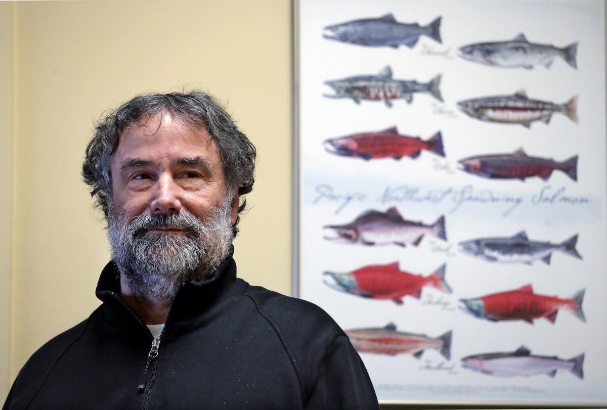 Salmon researcher Greg Ruggerone, one of a group of scientists who noticed a startling trend about the deaths of endangered southern resident orca whales, stands with a chart showing various salmon species at his office, on Jan. 18, 2019, in Seattle. (Elaine Thompson/AP Photo)