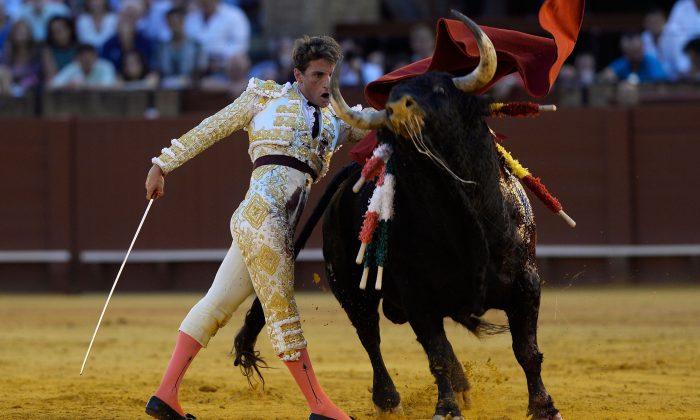 The Fight to Preserve Bullfighting in Spain