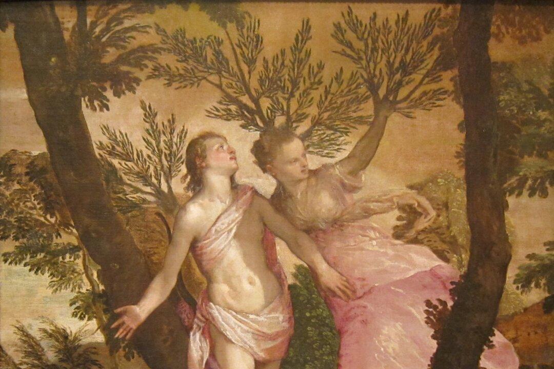 Apollo and the Making of Poetry