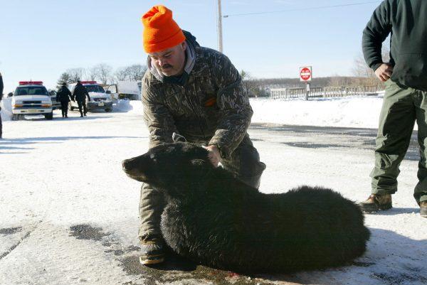 Bear hunters pose with a black bear in the first authorized hunt in 33 years in New Jersey, on Dec. 8, 2003. New Jersey's black bear population is estimated by state wildlife officials to be as high as 3,200. (Spencer Platt/Getty Images)
