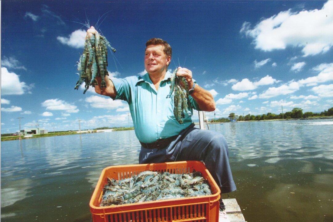 China-Australia Free Trade Blamed for Two-Year Aquaculture Shutdown, Costing Industry Over $23 Million