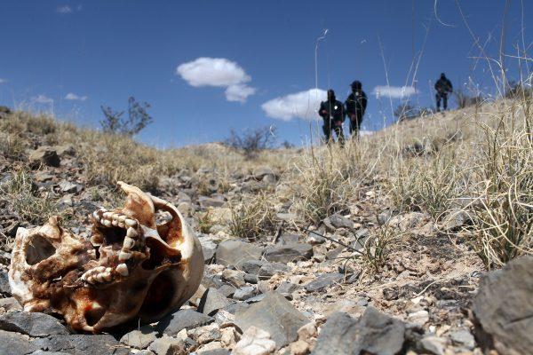 Mexican police near a skull discovered in a large grave in the desert of victims of recent drug violence in the county of Juarez, Mexico, on March 19, 2010. (Spencer Platt/Getty Images)