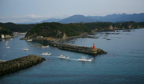 A fleet of fishing boats leaves Taiji port, in Japan for a day of fishing, on Jan. 29, 2008. (Junji Kurokawa/AP)