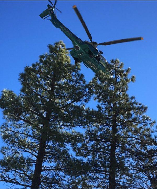 A Los Angeles Sheriff's Department helicopter is seen hovering above trees with members of a Special Enforcement Bureau team onboard in California on Jan. 23, 2019. (@SEBLASD/Twitter)