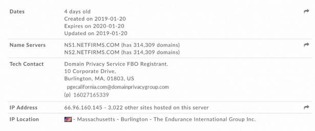 A domain shows the fake site registered on January 20 originates from Burlington, Mass. (screenshot)