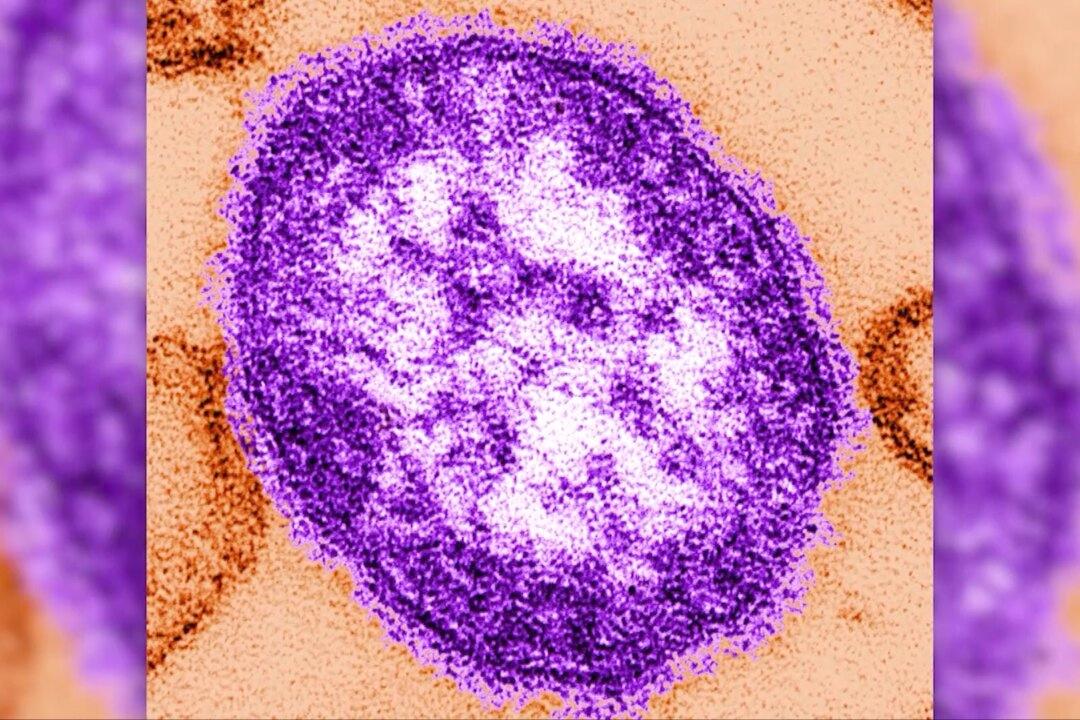 Measles Cases Reported in Illinois, Wisconsin