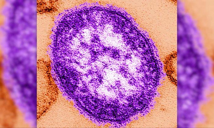 Measles Cases Reported in Illinois, Wisconsin