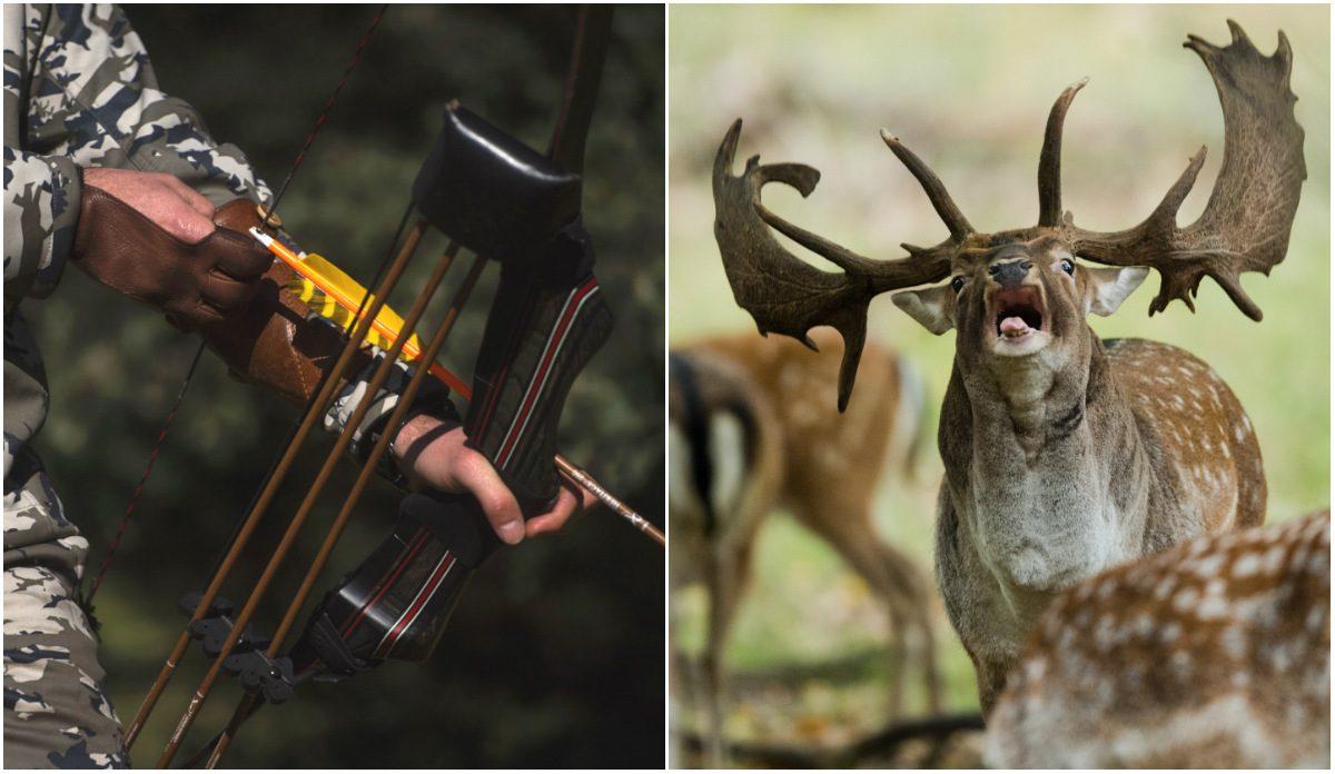 A hunter trains with his bow in the outskirts of San Agustin de Guadalix near Madrid on Dec. 12, 2016; A fallow deer roars during the rutting season in the zoological garden in Hannover, northern Germany on Oct. 2, 2018. (Pierre-Philippe Marcou/AFP/Getty Images; Julian Stratenschulte/AFP/Getty Images)