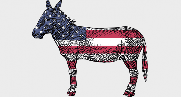 A Democratic Party donkey is shown with the American flag. (Pixabay)