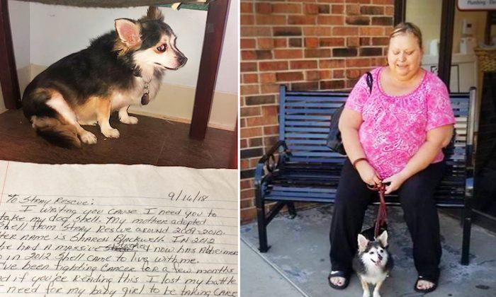 Terminally Ill Woman’s Heartfelt Plea To Take Care Of Dog Finds Its Way Into The Right Hands