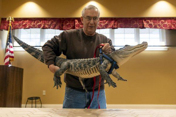 Joie Henney, of Strinestown, lifts his emotional support animal, Wally, up on a table to give a presentation at the SpiriTrust Lutheran Village in York, Pa., on Jan. 14, 2019. (Ty Lohr/York Daily Record via AP)