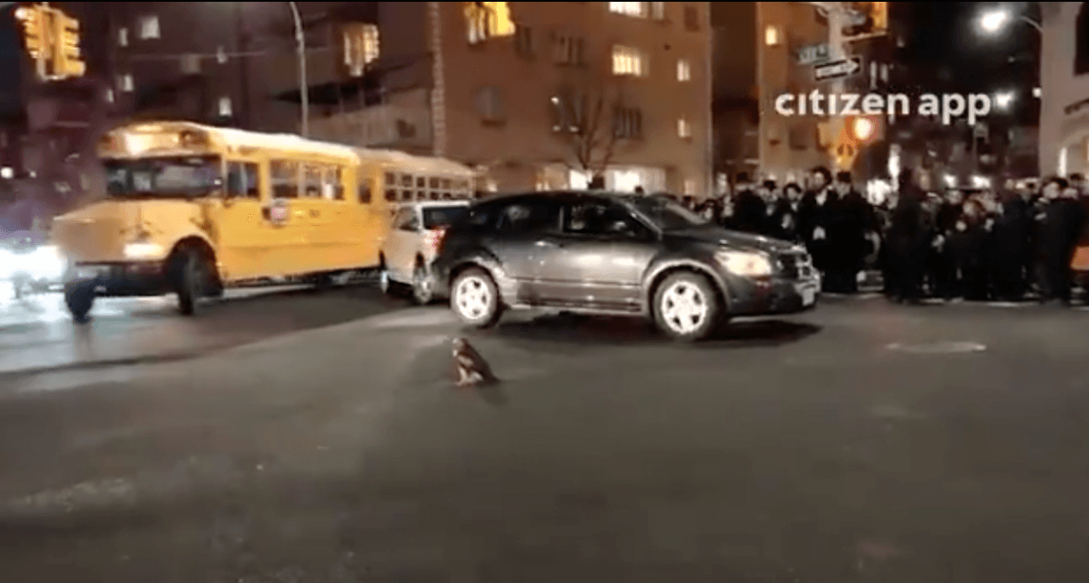 An injured hawk had got struck in a bust traffic intersection in Brooklyn on Wednesday. (Screenshot of the Twitter video by CitizenNYC)