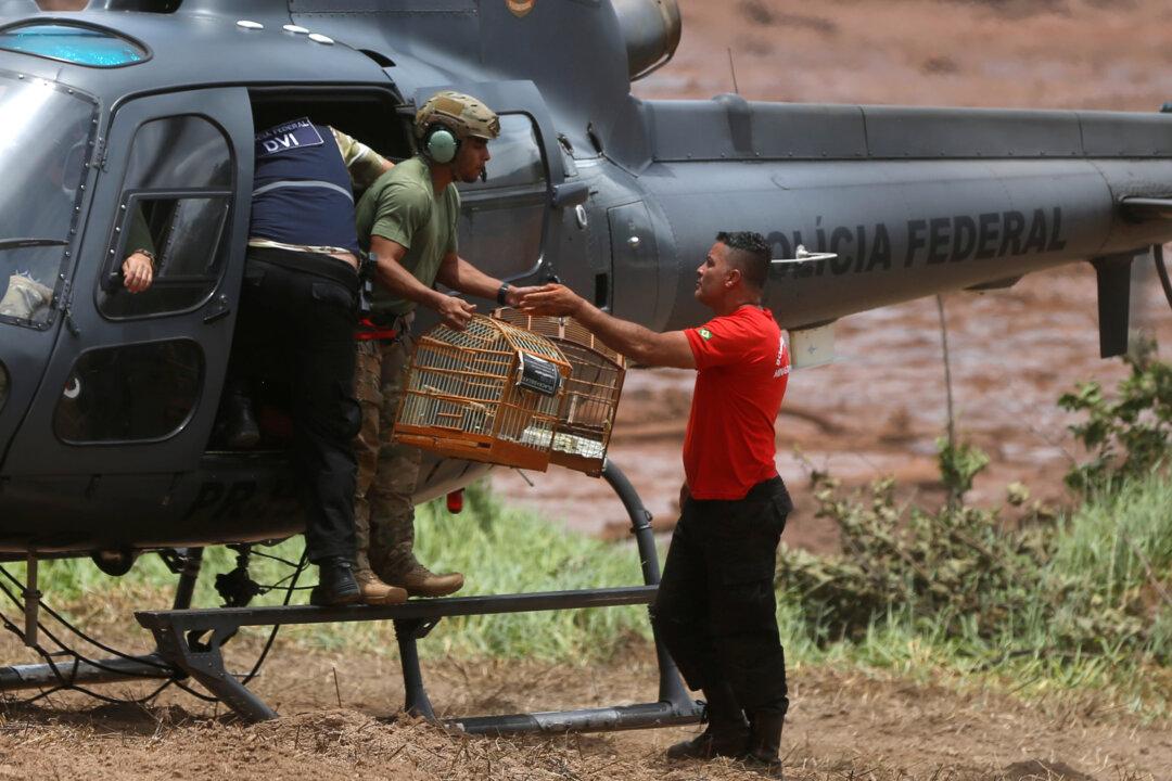 Death Toll Rises to 60 as Hope Dims After Brazil Dam Collapse