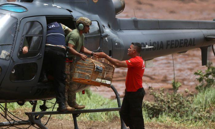 Death Toll Rises to 60 as Hope Dims After Brazil Dam Collapse
