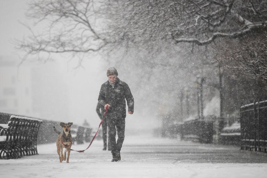 A man walks a dog on the Brooklyn Promenade in the Brooklyn borough of New York City on April 2, 2018. (Drew Angerer/Getty Images)