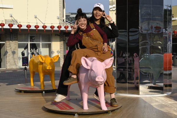 Friends posing for photos next to pig-shaped sculptures outside a local department store to mark the coming Lunar New Year in Taoyuan, Taiwan on Jan. 25, 2019 (Sam Yeh/AFP/Getty Images)