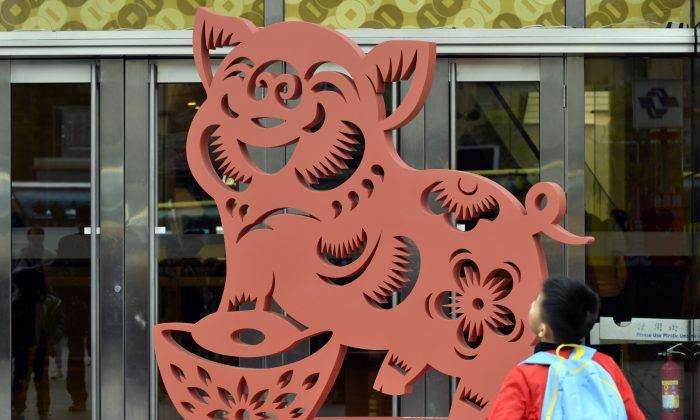 What the Chinese Say About People Born in the Year of the Pig