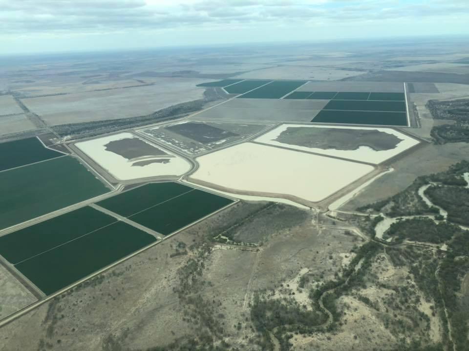 China Targets Cotton Industry in Latest Economic Strike on Australia
