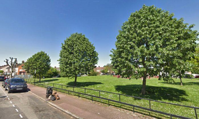 Newborn Baby Found Abandoned in Park in Near Freezing Temperatures