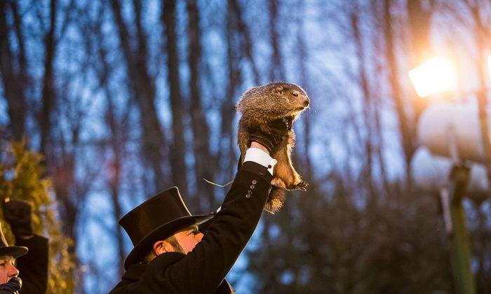 Early Spring Predicted: America’s Famous Groundhog Doesn’t See His Shadow