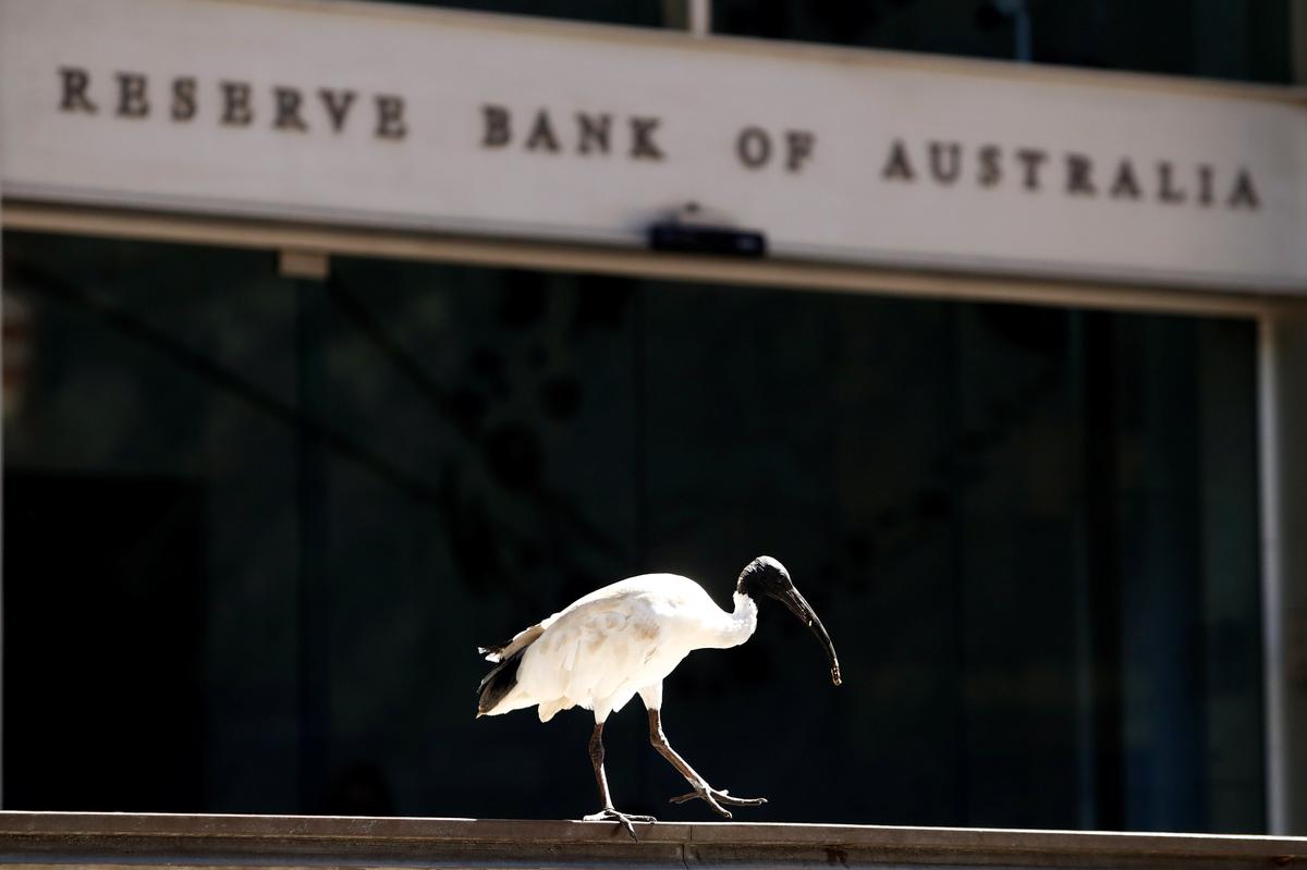 An ibis bird perches next to the Reserve Bank of Australia headquarters in central Sydney, Australia Feb. 6, 2018. (Daniel Munoz/Reuters)
