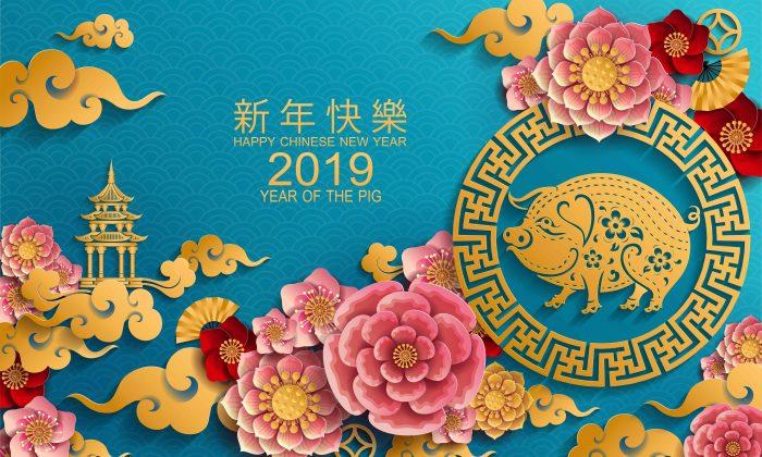 Will The Year Of The Pig Bring You Good Health and Fortune?