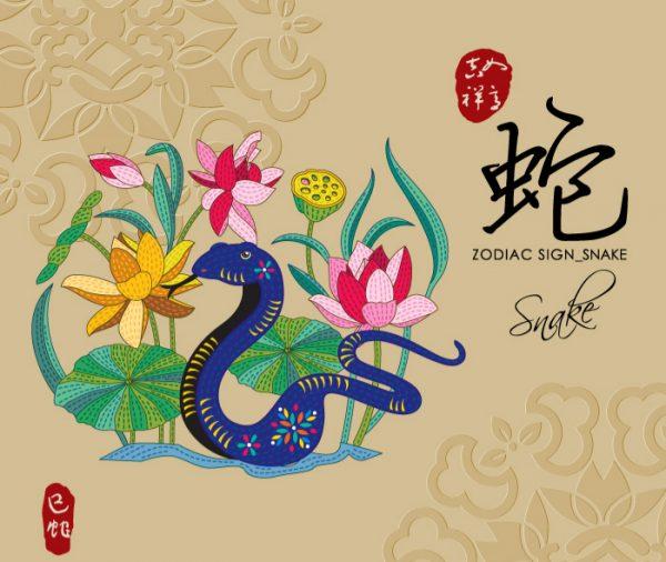 12 Chinese zodiac signs - Snake (Sprout2911/Shutterstock)