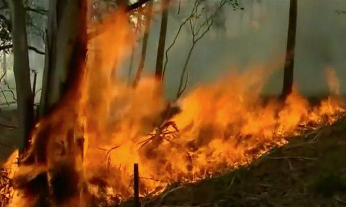 Fire Edges Closer to Rugged Tasmanian Ranges