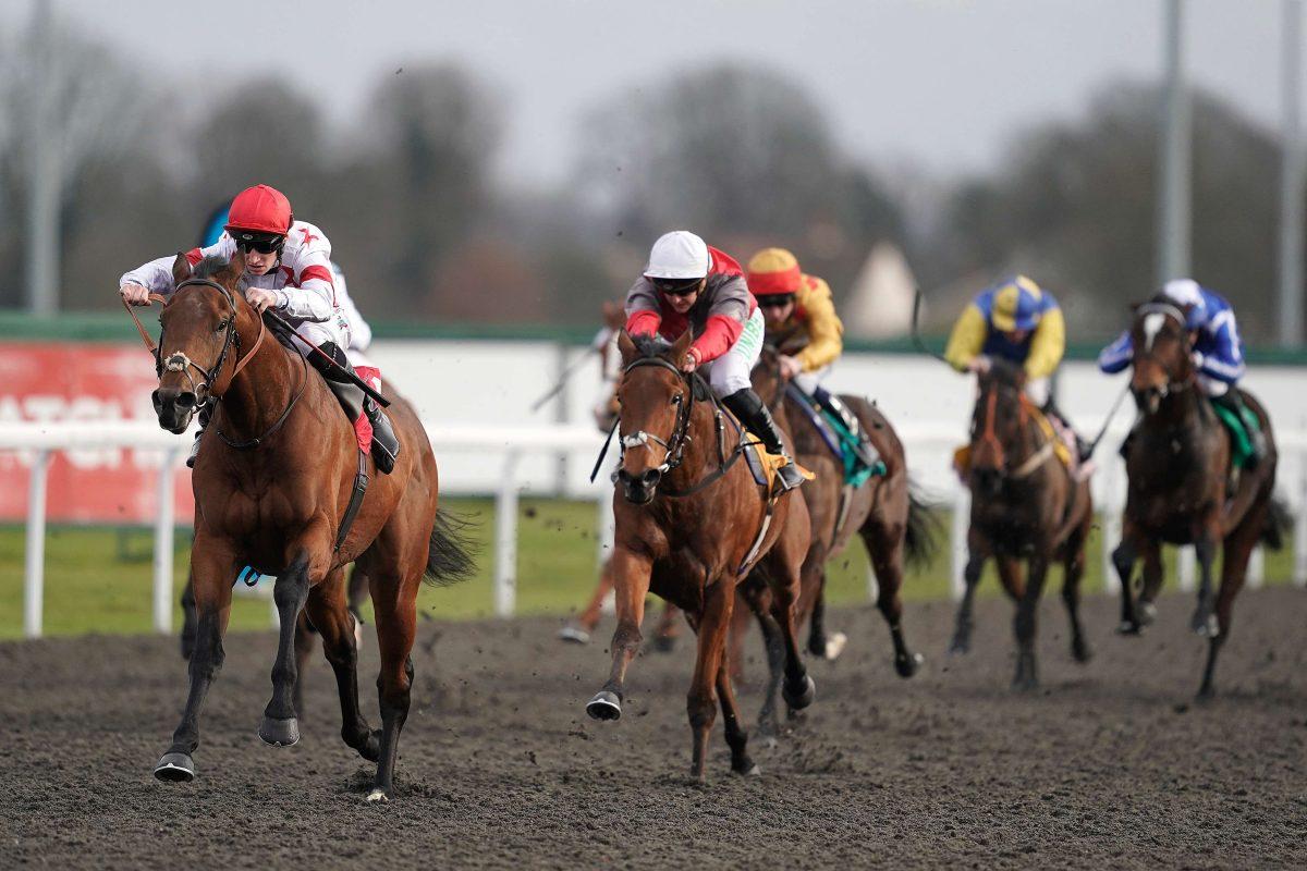 Horses race at Kempton Park Racecourse in Sunbury, UK, on Feb. 6, 2019, a day before racing was canceled nationwide because of an equine flu outbreak. (Alan Crowhurst/Getty Images)