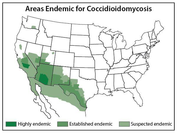 States that are endemic for valley fever. (Centers for Disease Control and Prevention)