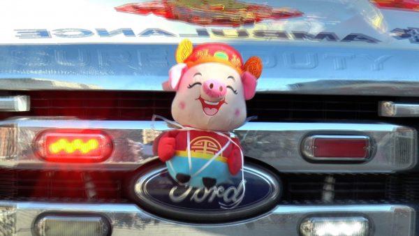 Stuffed pig on Ford bumper in the Flushing Lunar New Year parade in New York, on Feb. 9, 2019. (NTD)