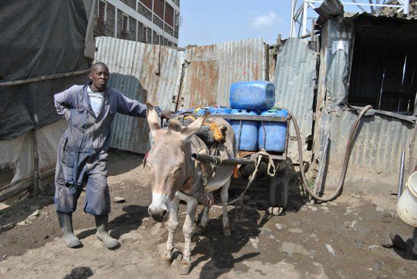 David Kinyanjui refills his jerry cans with water for sale on a cart drawn by his donkey at a water point in Rongai on Feb. 5, 2019. (Dominic Kirui for The Epoch Times)