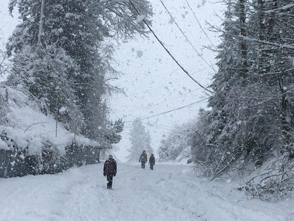 People walk up a closed off road as snow continued to fall in Olympia, Wash., on Monday, Feb. 11, 2019. (AP Photo/Rachel La Corte)