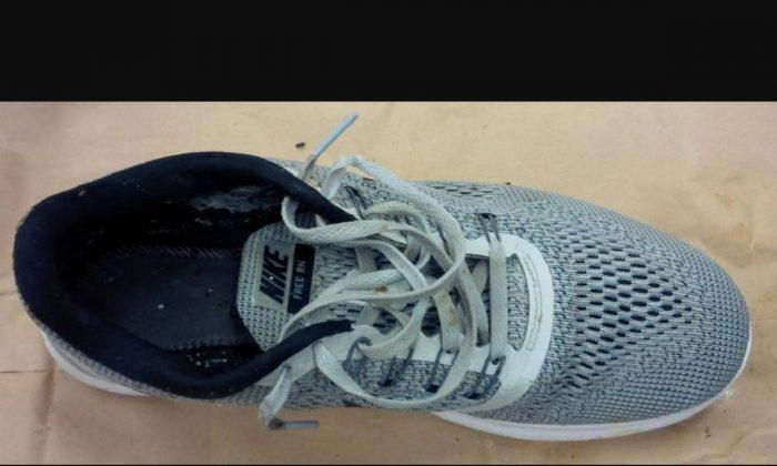 Human Foot, 15th Since 2007, Washes Up on Beach Inside Nike Shoe