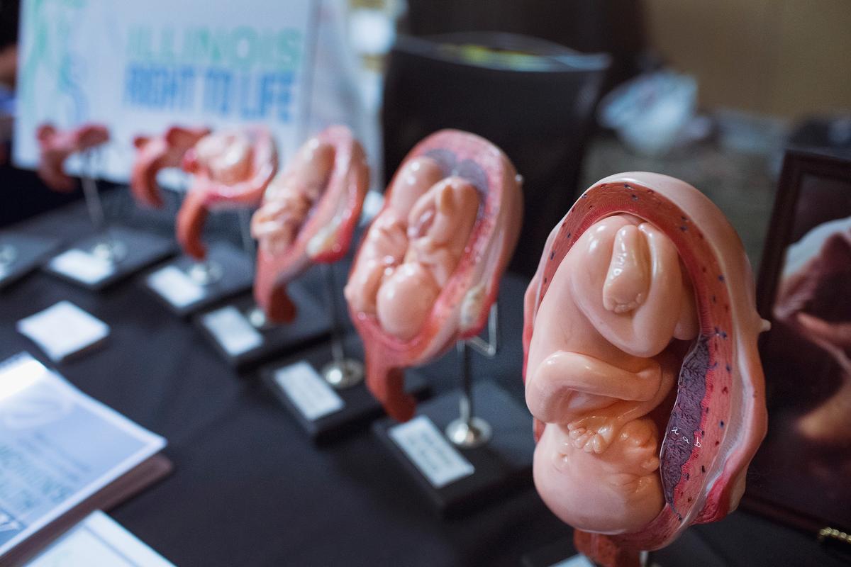 Stages of a fetus are displayed at the Illinois Right To Life a table while Republican presidential hopeful and former Arkansas Governor Mike Huckabee speaks at the Freedom's Journal Institute for the Study of Faith and Public Policy 2015 Rise Initiative on July 31, 2015 in Tinley Park, Ill. (Scott Olson/Getty Images)