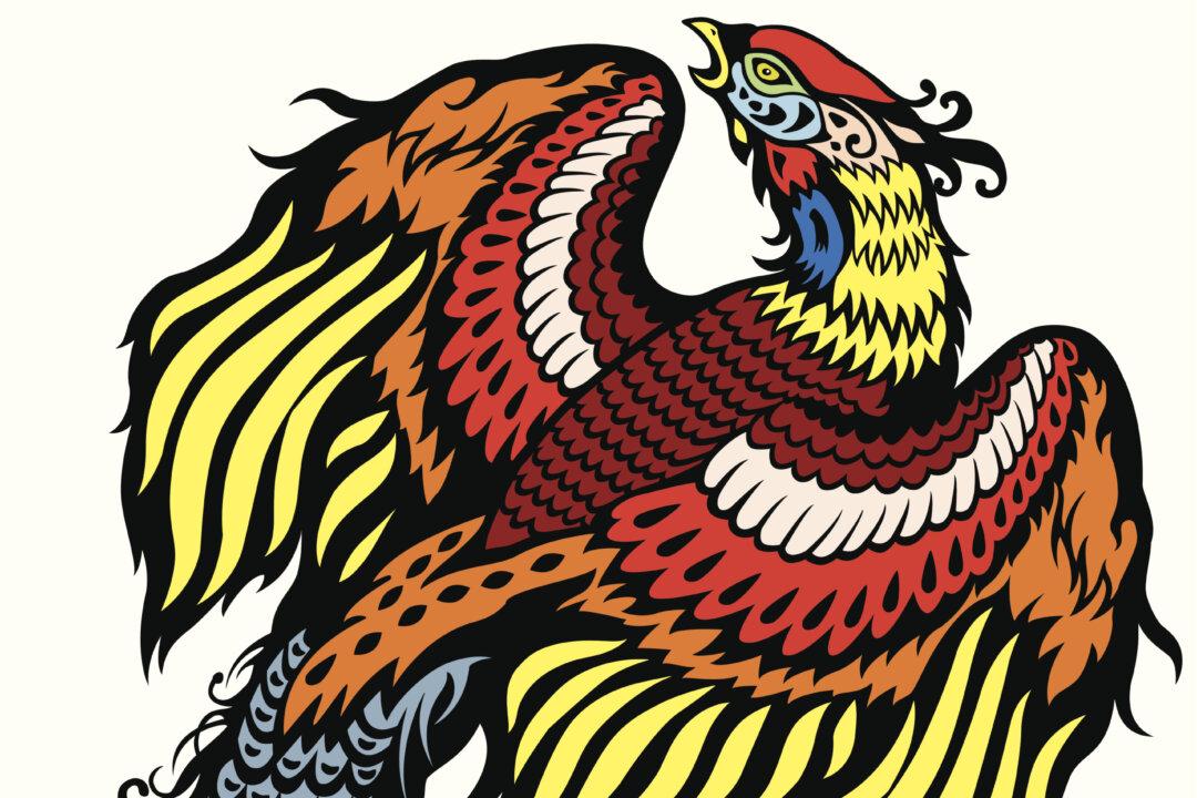 Han Hao Bird and the Winter Cold