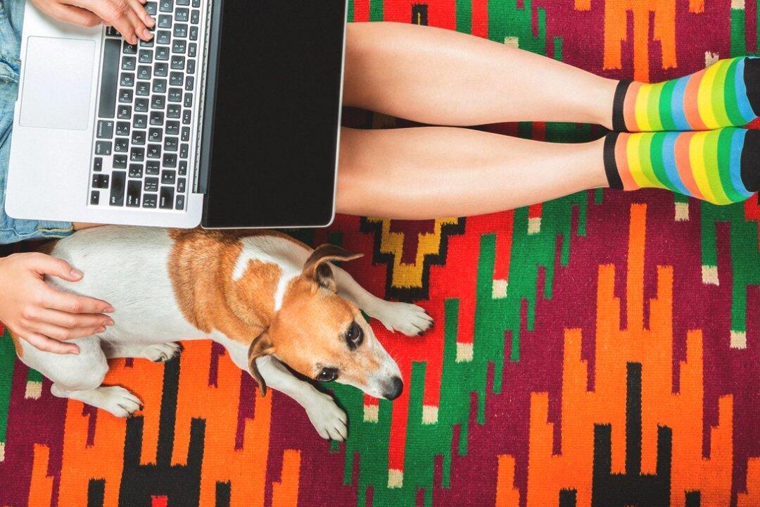 How Adding Color to My House Increased My Joy