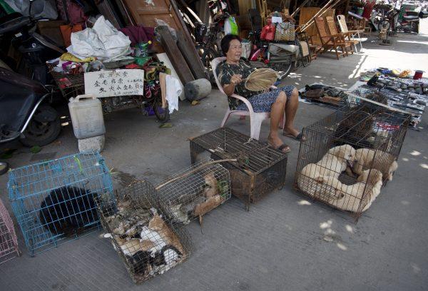 This picture taken on June 17, 2015 shows a woman selling dogs and cats by a street in Yulin, in southern China's Guangxi province. (STR/AFP/Getty Images)