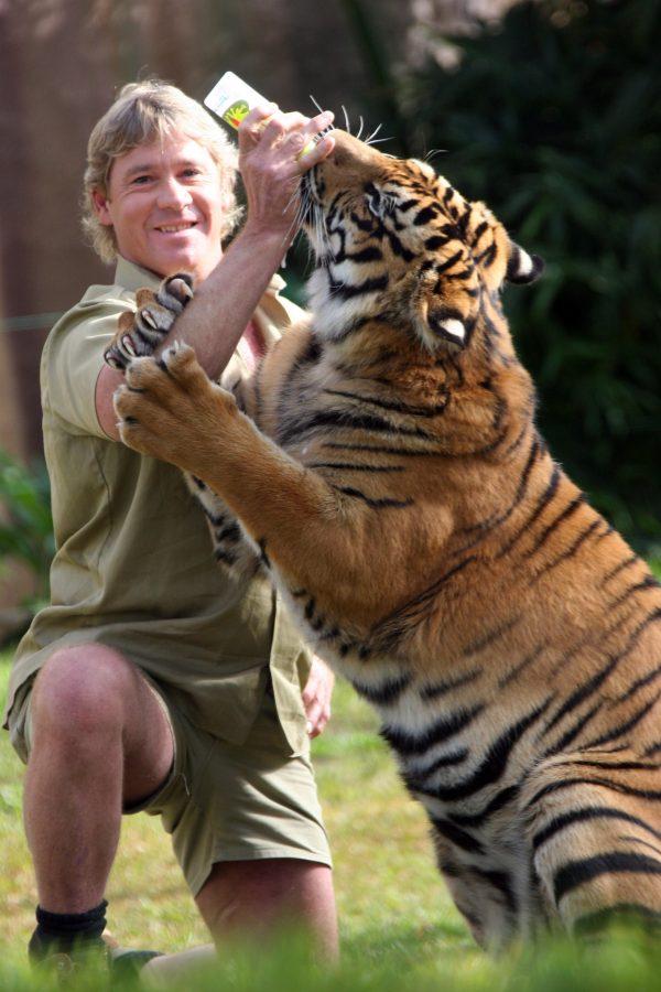 Steve Irwin poses with a tiger at Australia Zoo on June 1, 2005. (Australia Zoo via Getty Images)