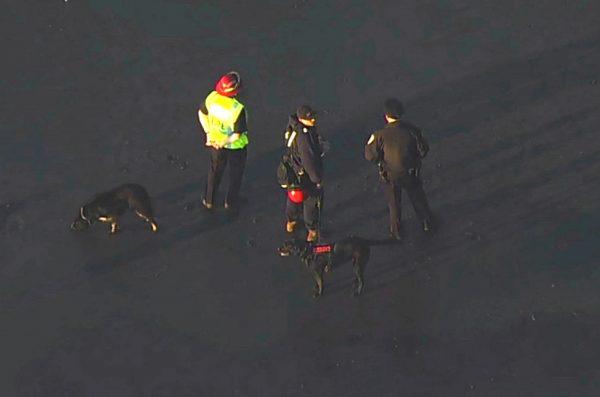 Rescuers with search dogs trying to find a person who was thought to be buried by a landslide near a San Francisco beach, on Feb. 22, 2019. (KGO-TV via AP)