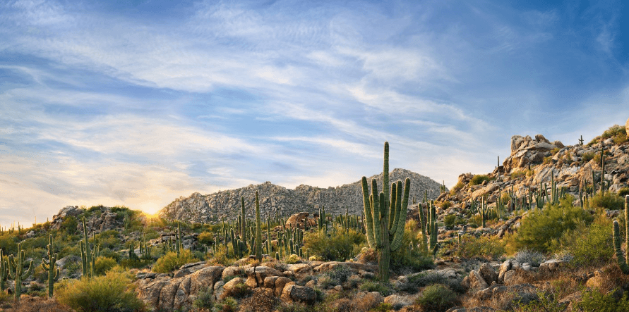 Scottsdale's McDowell Sonoran Preserve at sunrise. (Lonna Tucker for Experience Scottsdale)
