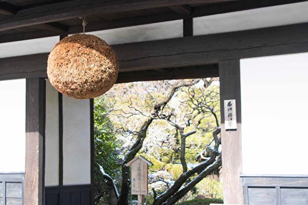 Fir branches (called sugitama or sakabyashi) hang by the gate. The hanging of brilliant green fir brunch indicates the start of sake pressing and fir browning, accompanied by sake maturing. (The Epoch Times)
