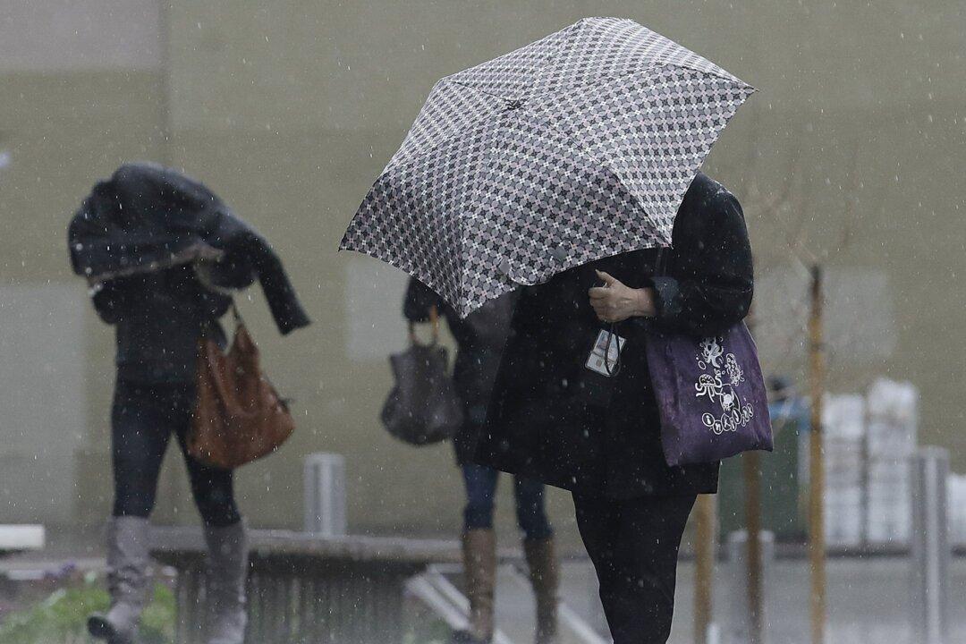 Forecasters Warn Southern States to Brace for a Wet and Windy New Year