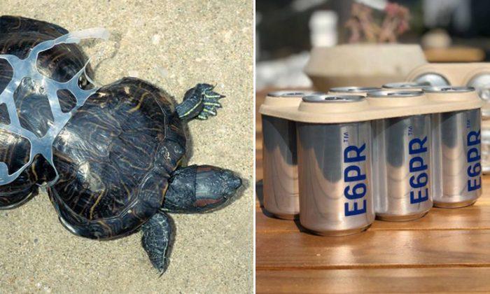 Eco-Conscious Brewery Makes Edible Six-Pack Ring That Feeds Marine Life Instead of Killing It